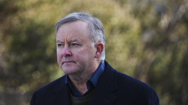 Opposition Leader Anthony Albanese introduced Mr Gyngell. Picture: AAP Image/Lukas Coch