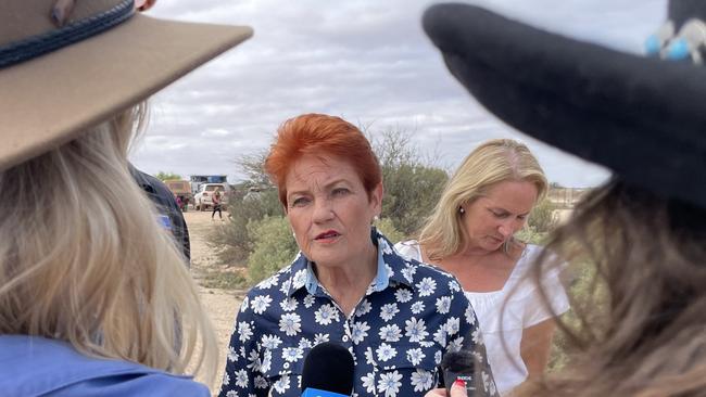 Pauline Hanson's One Nation Party leader Pauline Hanson. Picture: supplied