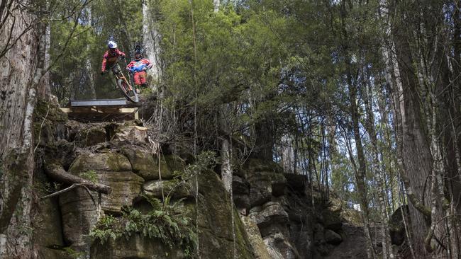 Laurie Greenland performs during  practice at Red Bull Hardline  in Maydena Bike Park,  Australia on February 21,  2024 // Graeme Murray / Red Bull Content Pool // SI202402210589 // Usage for editorial use only //