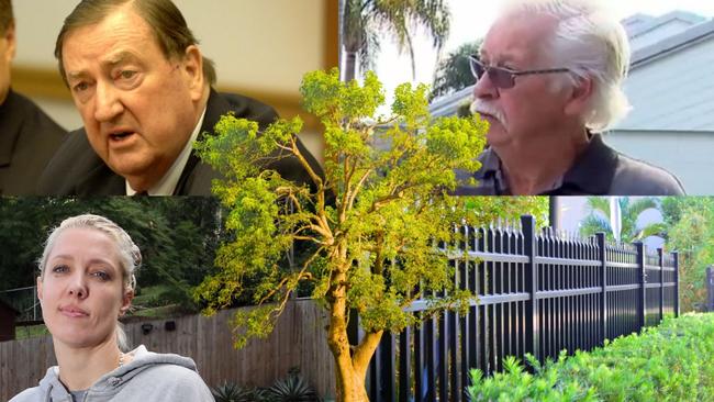 Qld tree battles