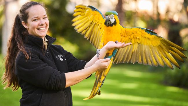 Senior Keeper Kids Zoo Presentations Michelle Birkett with Manu at the Adelaide Zoo. Picture: Matt Loxton