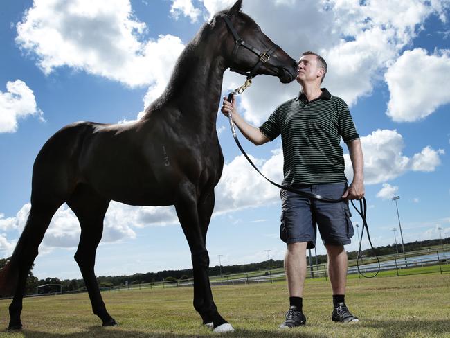 Trainer David Van Dyke with his stable star Yankee Rose. Picture: Lachie Millard