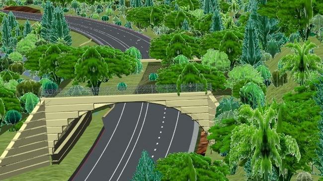 Artist impressions of the fauna crossing set to be built across the Bruce Highway at Smith's Gap between El Arish and Tully.