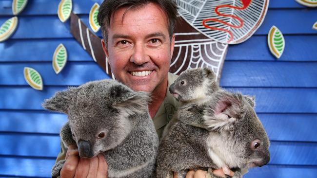 Al Mucci hanging out with some koalas at Dreamworld. Picture: Adam Head