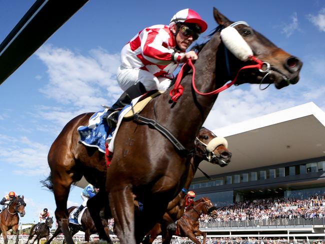 Race No.3 - Winner No.4 Glendara ridden by Chris Munce, Ekka races at doombe - Photo Steve Pohlner