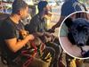 Rescuers find family dog waiting for murdered child to come home
