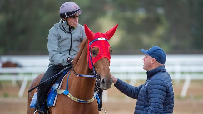 Danny O’Brien checks on his Caulfield Cup contender Vow and Declare during trackwork at Flemington. Picture: Jay Town