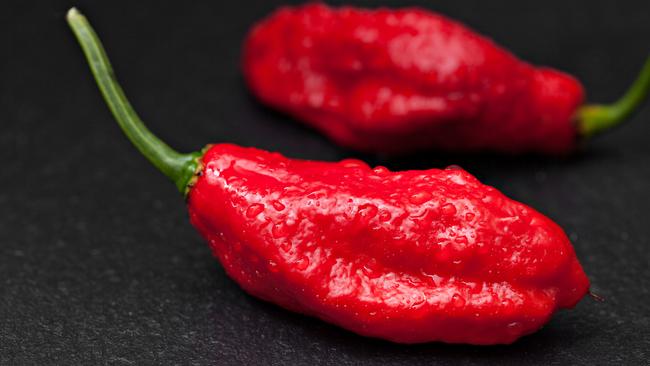 The capsaicin derived from chilli peppers can turn up the heat on joint pain. Picture: Supplied