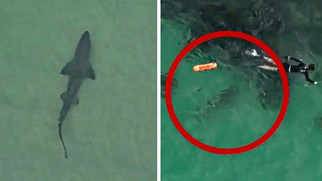 Terrifying footage has captured the moment a large shark swam directly under a group of unsuspecting swimmers. Picture: Picture: Emily Howman / News Media Network