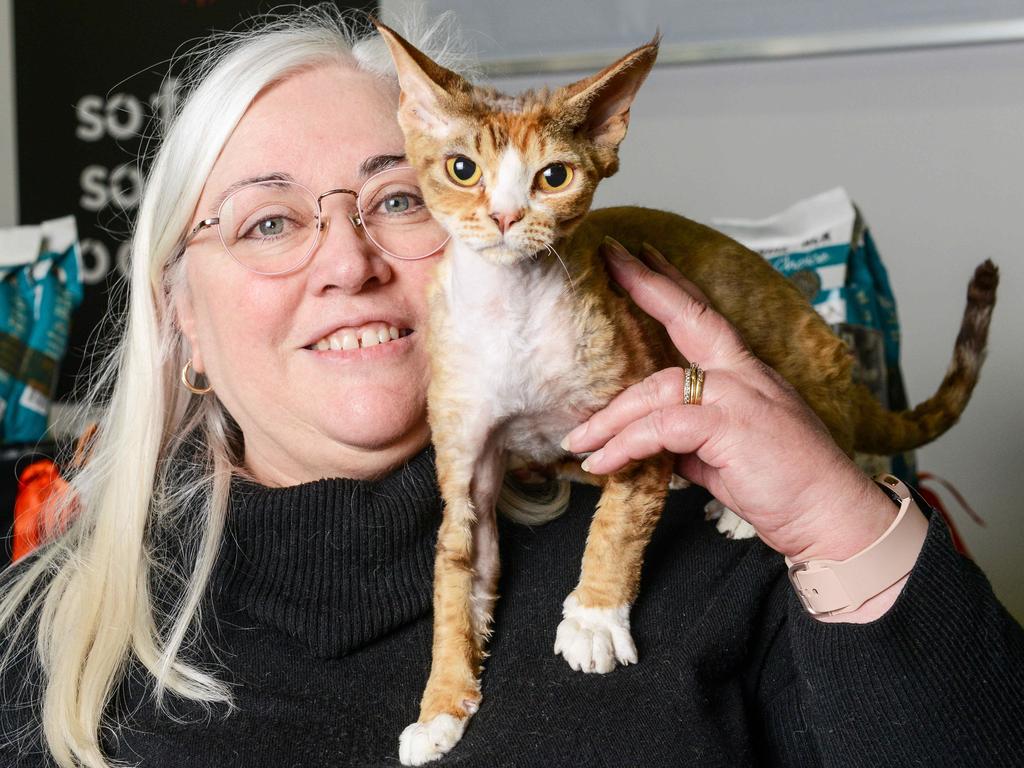 Deb Hall with Adam the gold double grand champion devon rex cat at the Royal Show. Picture: Brenton Edwards