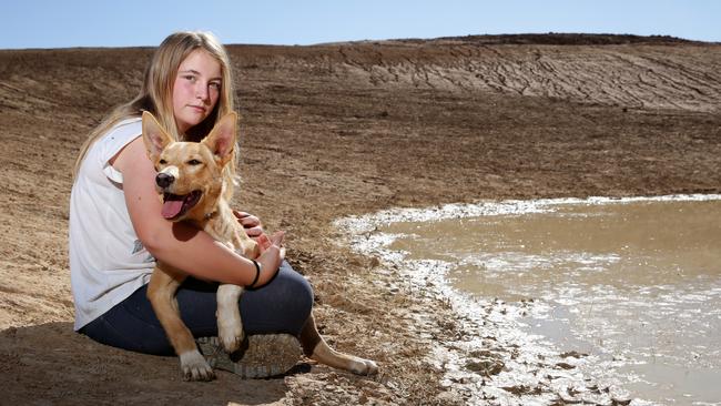 Charlotte Darcy, 15, on the family farm in Tullamore with their dog J at one of their many empty dams. The dam was desilted of 18 feet of mud last December in the hopes it would fill when it finally rains, instead a foot of mud is all it holds. Picture: Jonathan Ng