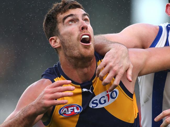 PERTH, AUSTRALIA - JULY 10: Scott Lycett of the Eagles and Todd Goldstein of the Kangaroos contest a boundary throw in during the round 16 AFL match between the West Coast Eagles and the North Melbourne Kangaroos at Domain Stadium on July 10, 2016 in Perth, Australia.  (Photo by Paul Kane/Getty Images)