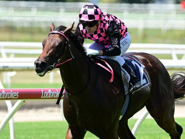 Pretty Dubious wins at Doomben for trainer Rob Heathcote and his wife Vicky who is one of the owners. Picture: Grant Peters, Trackside Photography