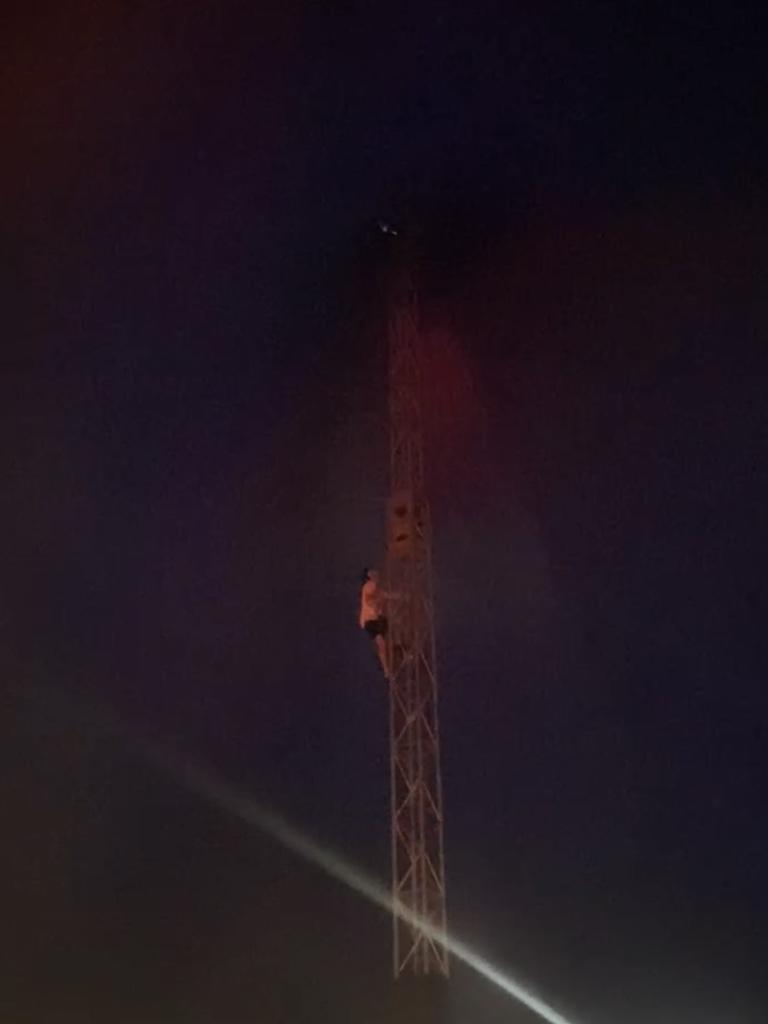 A festival goer is seen climbing the rails of Wildlands festival. Picture: Supplied