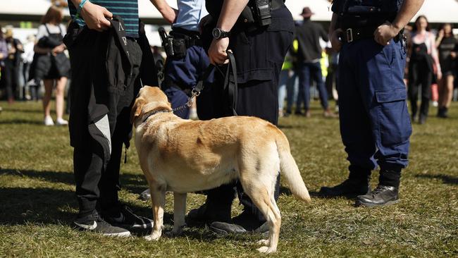 The Victorian Ambulance Union wants testing of pills seized at festivals by police. Picture: Mark Metcalfe (Getty Images)