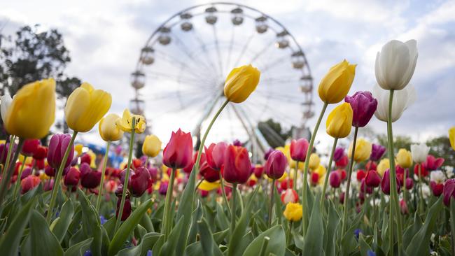 Floriade returns in Canberra for another colourful year.