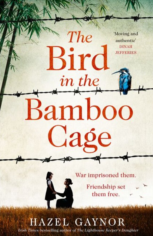 New novel … The Bird In The Bamboo Cage by Hazel Gaynor