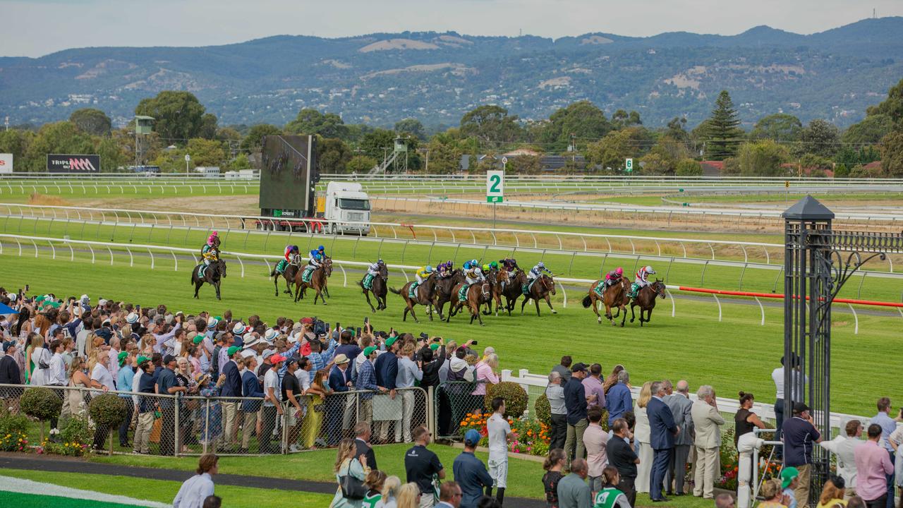 SA weather forecast for the Adelaide Cup long weekend 2023 Geelong