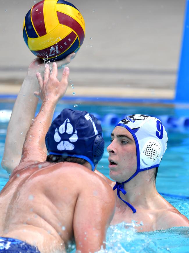 North Brisbane player Marcus Berehulak. Picture, John Gass