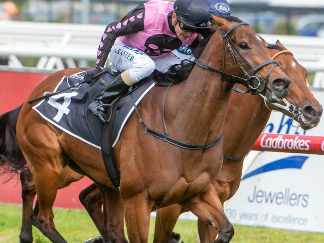 Stephen Baster gives Miss Leonidas a crack over the hind quarters as she charges to victory in the Caulfield Sprint.