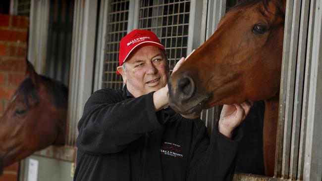 NCA. MELBOURNE, AUSTRALIA. October 29, 2024. RACING. Horse trainer Michael Moroney at his stables at Flemington today.  Pictures : Michael Klein