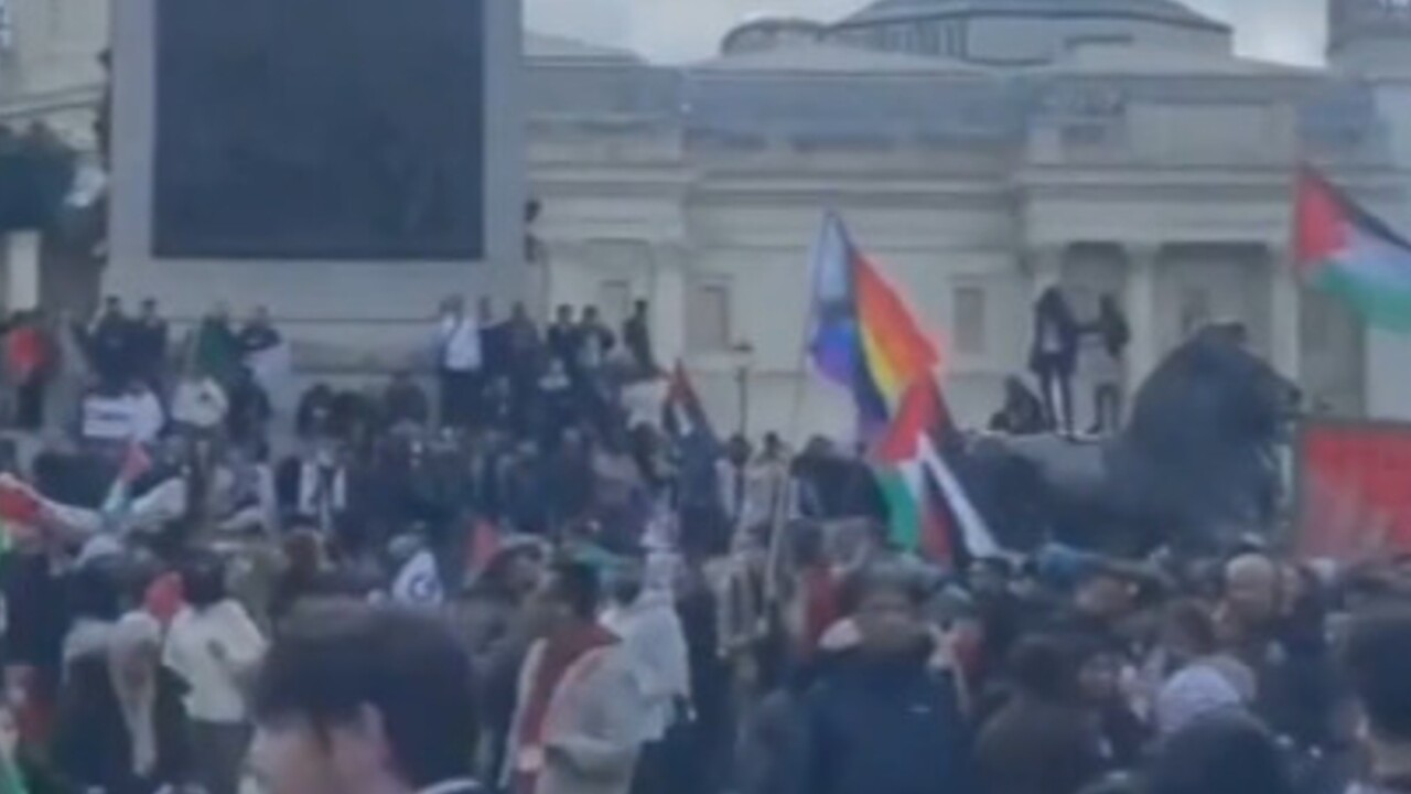 Lefties ‘turn On Each Other’ After Pride Flag Appears At Pro-Palestine ...