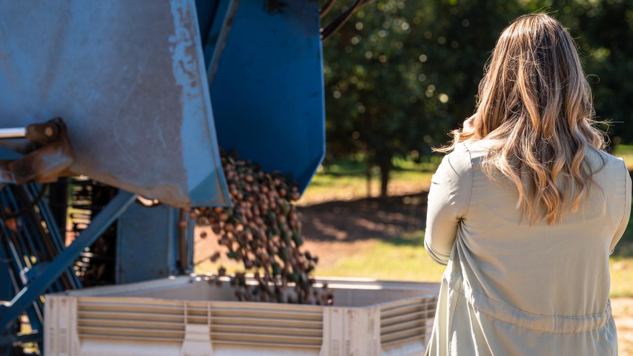 Lyndi observes production at the Pashley macadamia farm.