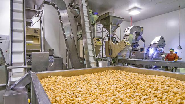 Global business giant Finasucre Group is taking another step to build its presence in the macadamia industry in Australia, entering into a partnership with New South Wales processor Macadamias Direct.