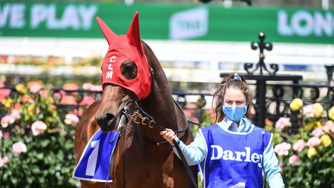 Fake Love at Flemington. Photo: Natasha Morello/Racing Photos via Getty Images