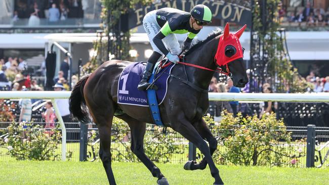 Private Eye at Flemington this year Picture: Racing Photos/Getty Images