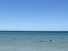 Ominous video captures shark metres from shore