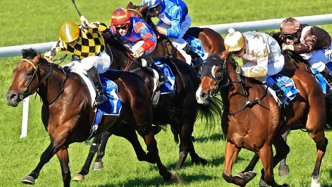 Murwillumbah hosts a seven-race program on Sunday.