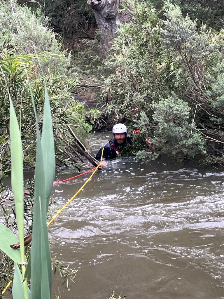 The woman, and her dog were pulled from the fast moving water on Boxing Day. Photo: Victoria Police