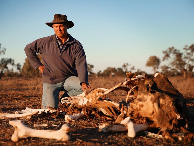 John Pocknell is just one of the farmer who has had to sell more than 3000 sleep. Picture: Sam Ruttyn