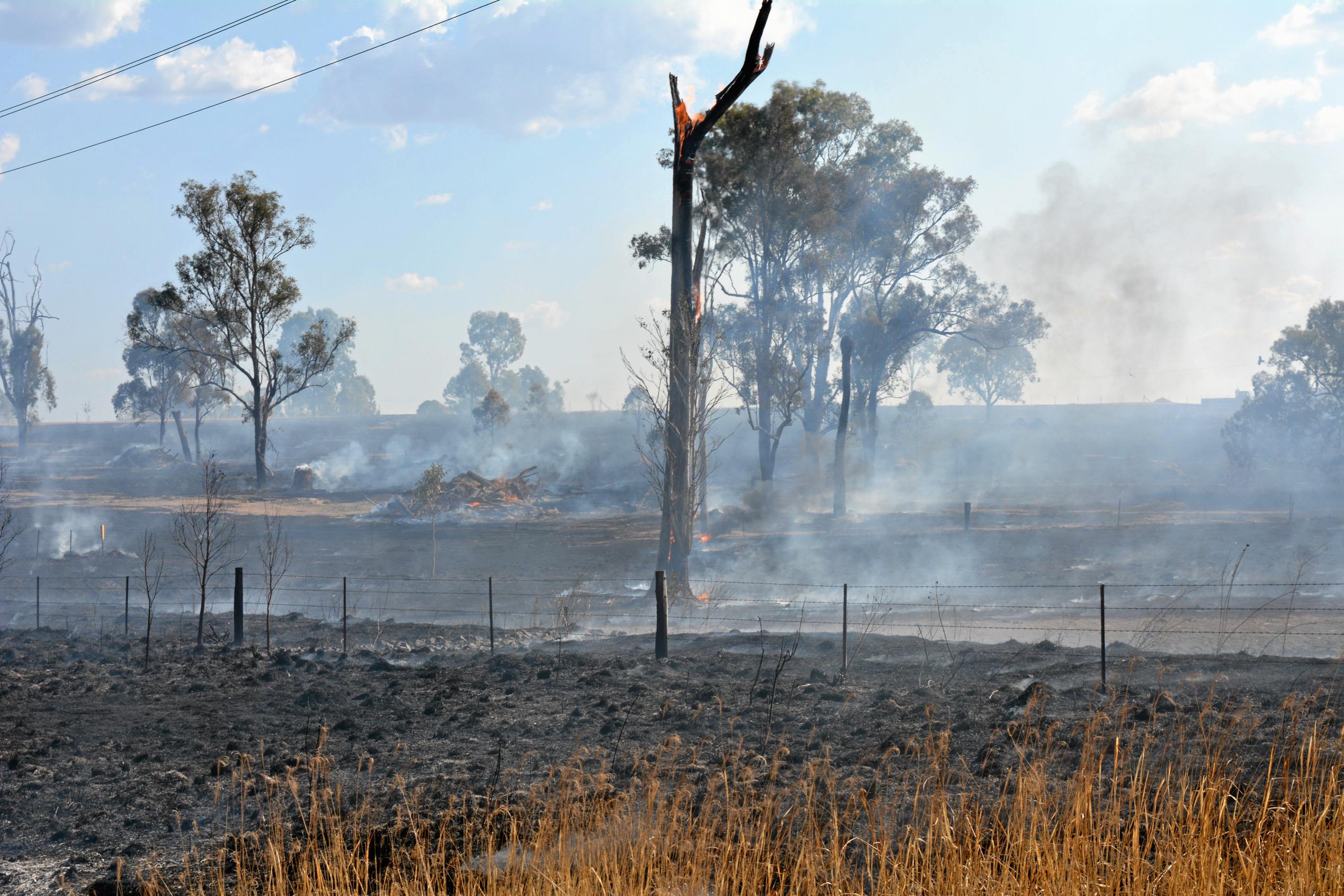 Crews are battling a grass fire which started at Philps road, Grantham. September 13, 2018. Picture: MEG BOLTON