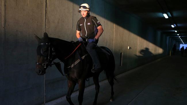 Ben Cadden takes Winx out through the tunnel for a light workout at sunrise. Picture: Adam Taylor