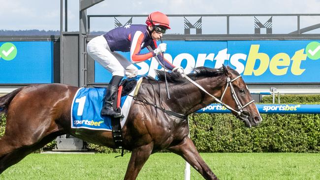 Air Assault hits the line to win the John Letts Cup at Morphettville on Melbourne Cup Day. Picture: Racing SA