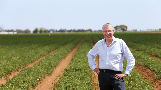 Victorian Nationals leader Peter Walsh has stood down after a decade in the job. Picture: Andy Rogers