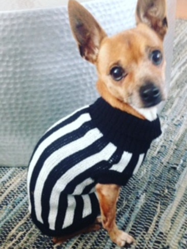 Ralph: While we’re Suns fans around here, we have to admire Ralph’s dedication to his footy team ... so go the Pies!