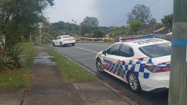 A tree down in Logan. Picture: Supplied