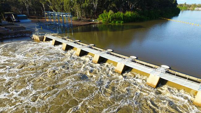 Murray River at Lock 5 near Renmark. Picture: Grant Schwartzkopff