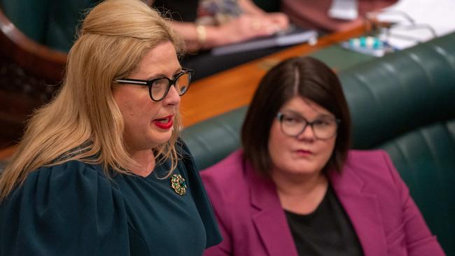 Katrine Hildyard during Question Time. Picture: Newswire / Naomi Jellicoe