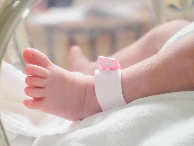 Newborn girl baby inside incubator in hospital post delivery room with identification bracelet tag name   istock image