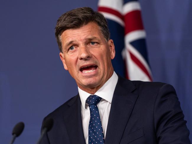 Angus Taylor. Picture: NewsWire / Monique Harmer