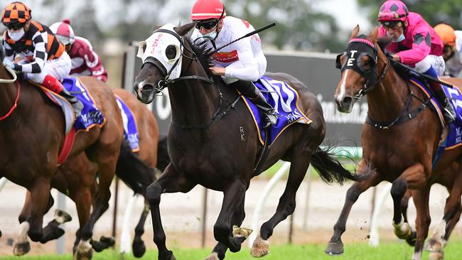 Nash Rawiller rides Yao Dash to victory at the Gold Coast. Picture: Trackside Photography