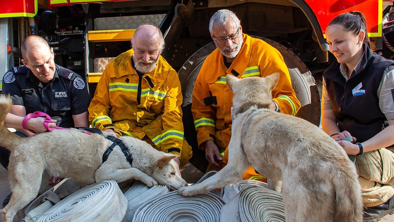 Gumbuya World plans to thank firefighters who saved park from Bunyip ...