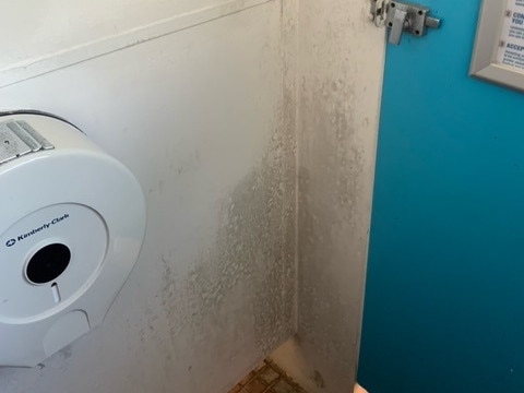 A March 2022 picture of mould in a toilet cubicle in a girls’ bathroom at the Manly Selective Campus of the Northern Beaches Secondary College. Freshwater Campus families say the money being spent on their school would be better spent upgrading others in the network.