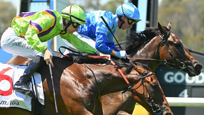 MELBOURNE, AUSTRALIA - FEBRUARY 01: Daniel Moor riding Inkaruna defeats Damian Lane riding Sword of Legacy in Race 5, the Lamaro's Hotel Chairman's Stakes during Melbourne Racing at Sandown Racecourse on February 01, 2025 in Melbourne, Australia. (Photo by Vince Caligiuri/Getty Images)