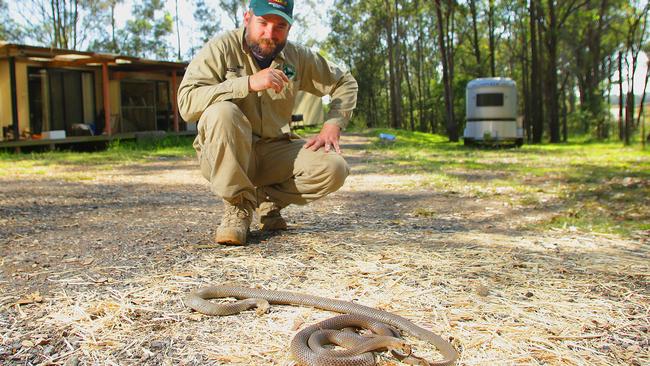 Rob Ambrose with snakes he has caught. Picture: Phil Rogers