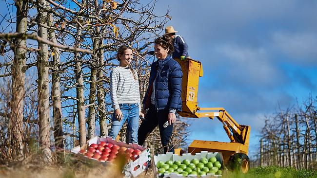 To Nic Giblett, work and family are intertwined on Newton Orchards. Picture: Daniel Carson